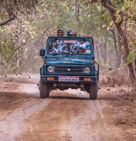 Gir Holiday Tour with 1 Jeep Safari