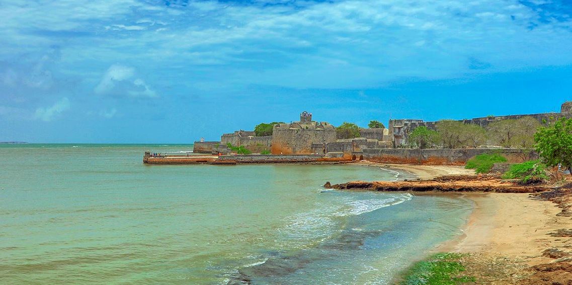 Gir Jungle Safari & Diu Seaside Retreat from Bhavnagar