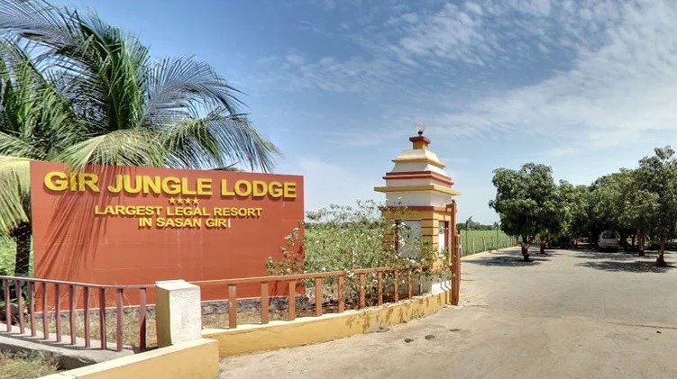 Gir Jungle Lodge Resort